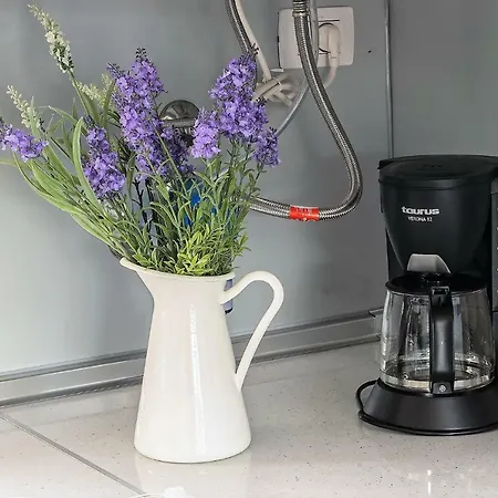 Terraza Vista Oceano La Quinta * Santa Úrsula