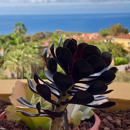 Terraza Vista Oceano La Quinta 아파트 *