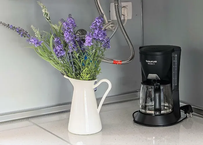 Terraza Vista Oceano La Quinta * Santa Úrsula