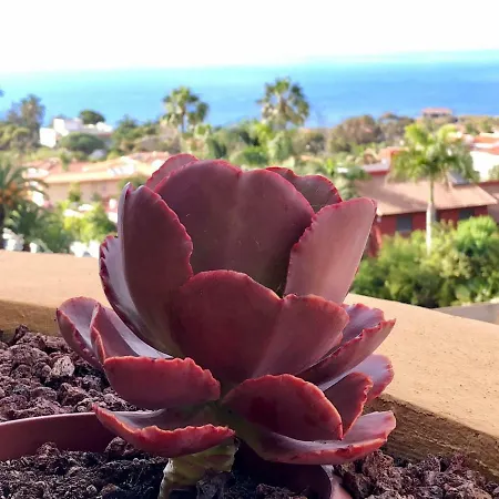 Terraza Vista Oceano La Quinta サンタ・ウルスラ