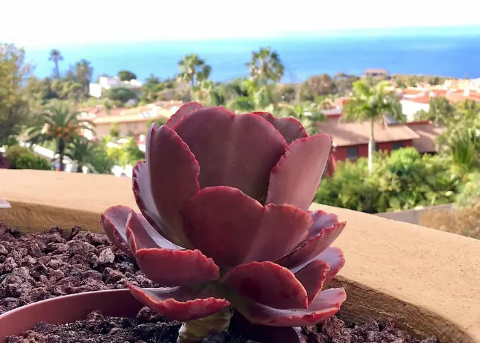 Terraza Vista Oceano La Quinta Santa Ursula (Tenerife)