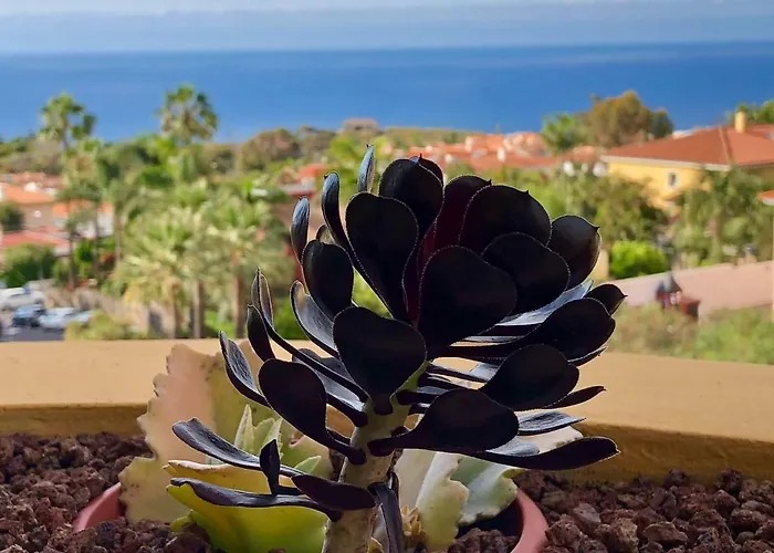 Terraza Vista Oceano La Quinta Apartment *